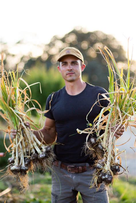 The Ultimate Guide to Garlic Harvest Time - GREY & BRIANNA