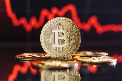 Bitcoin kämpft um 50 000 Altcoin Rallye angetrieben von Polkadot und