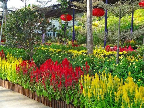 15 Best Plant Shops In Singapore For Starting Your Indoor Garden