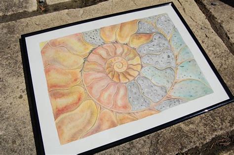 Original Watercolour Painting Of Ammonite Cross Section Half Etsy Uk