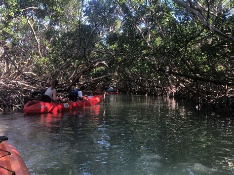 The Kayak Shack Islamorada Ce Quil Faut Savoir Pour Votre Visite