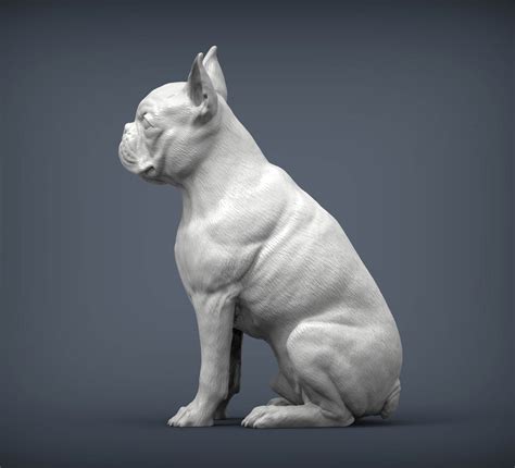 Boston Terrier 3d Print Model By Alexander3dart