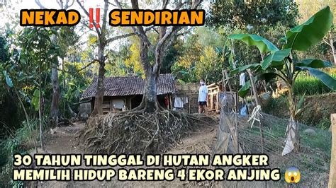 Kisah Nyata Tahun Tinggal Di Hutan Angker Sendirian Memilih Hidup