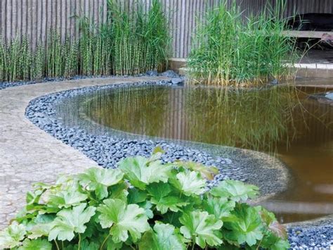 Plante De Bassin Id Es Pour D Corer Votre Petite Oasis Jardins