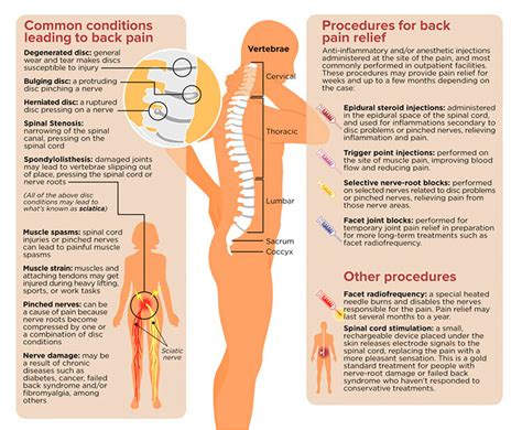 Treatment for Lower Back Pain - Philadelphia Homeopathic Clinic/Dr. Tsan