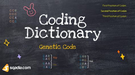 Genetic Code Coding Dictionary