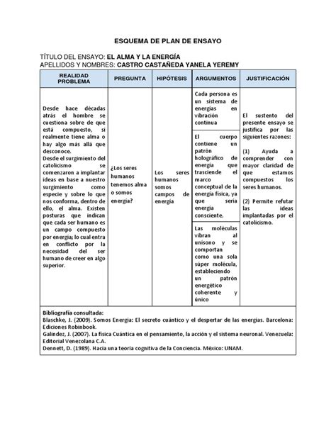 Esquema De Plan De Ensayo Ensayos Alma