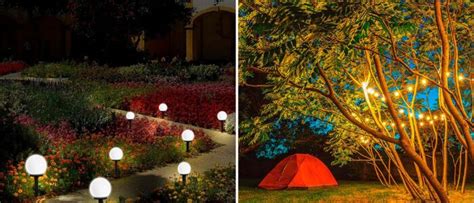 Guía completa para adornar árboles de jardín con esferas de luz ideas