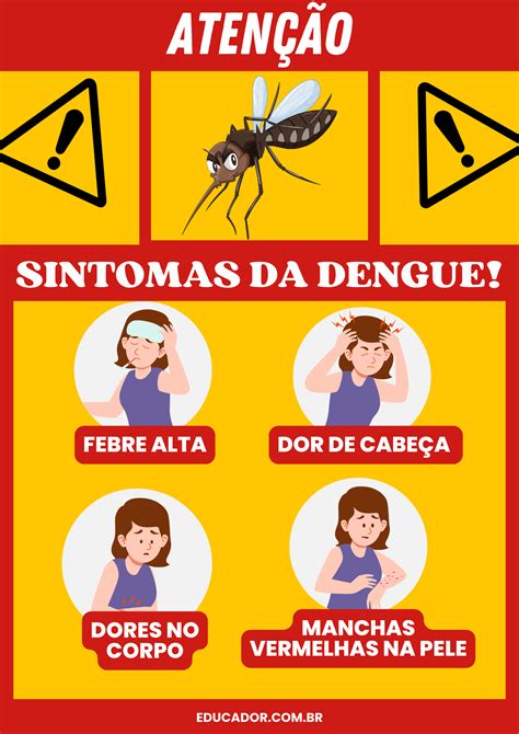 Redação Sobre A Dengue 13