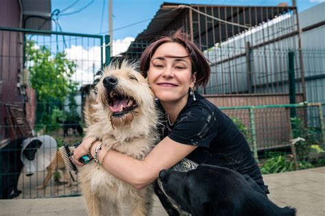 Family-to-Family: The Compassionate Pet Rehoming Solution