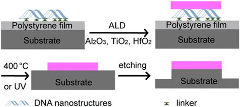 Area Selective Atomic Layer Deposition Of Metal Oxides On Dna