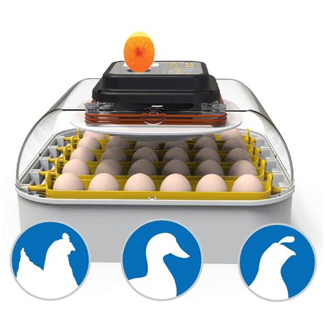 Buy Egg Incubator With Humidity Display Egg Candler Automatic Egg