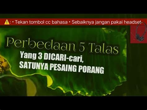 Harus Tahu Ciri Dan Perbedaan Talas Beneng Sente Kajar Jinten Dan