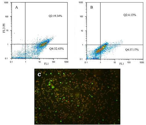 Flow Cytometry Analysis Of The Mcf 7 Cells Exposed To 6d And 6g At Ic50 Download Scientific