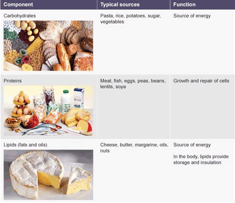 Eating A Balanced Diet Bbc Bitesize Biology Transfermanager