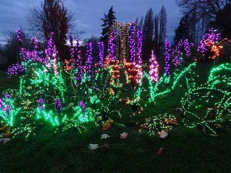 Garden d'Lights - Bellevue Botanical Garden