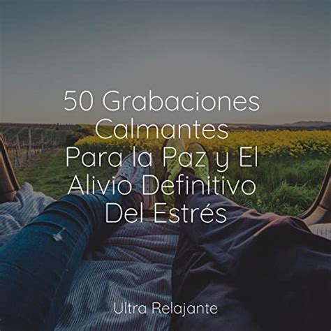 Play 50 Grabaciones Calmantes Para La Paz Y El Alivio Definitivo Del