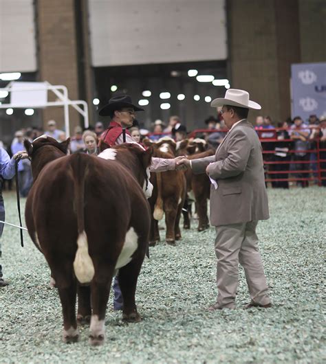 American Hereford American Royal American Hereford Association