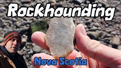 Beach Walk Rockhounding Adventures Cool Finds Bay Of Fundy Nova Scotia Vlog Rockhounding