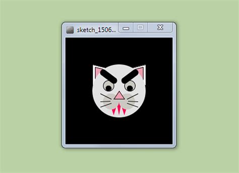 How To Draw A Mean Cat Using The Processing Programming Environment