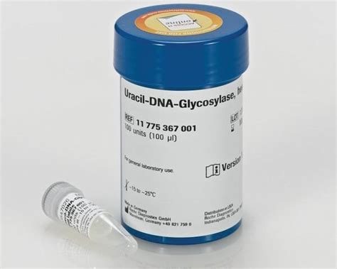 Uracil Dna Glycosylase Heat Labile Recombinant From Marine Bacterium