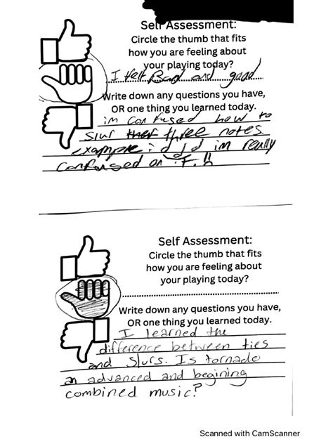 Self Assessment | PDF