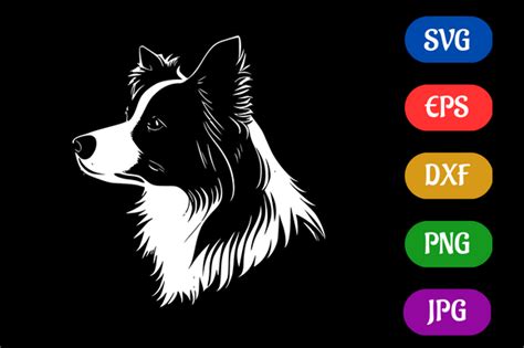 Border Collie Svg Eps Dxf Png  Graphic By Creative Oasis