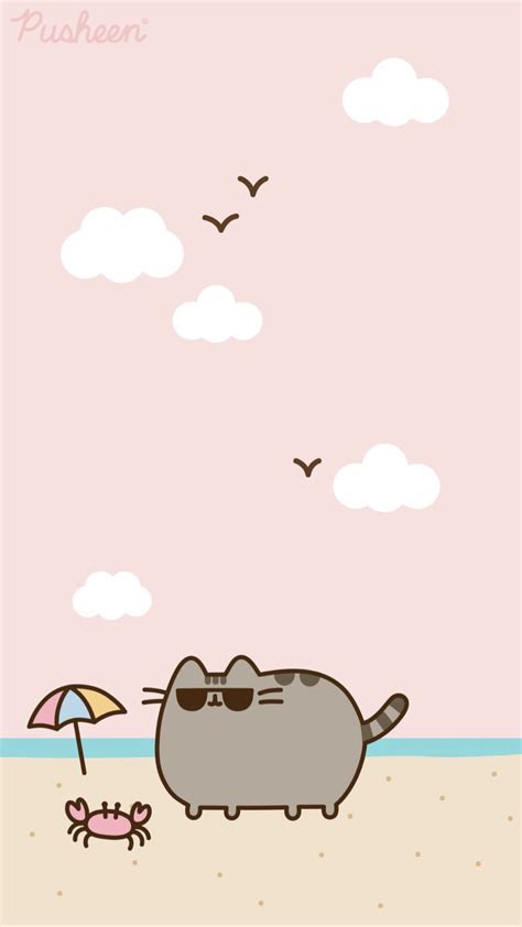 Pusheen Wallpapers Top Free Pusheen Backgrounds Wallpaperaccess Images