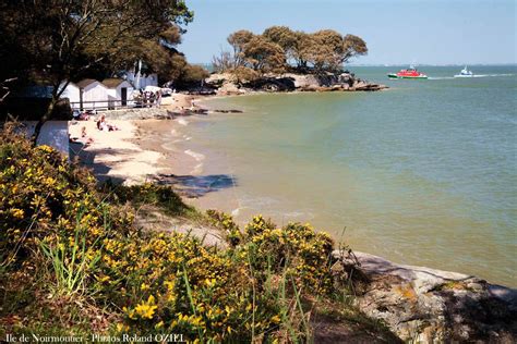 Camping Proche Ile D Yeu Et Ile Noirmoutier En Vend E