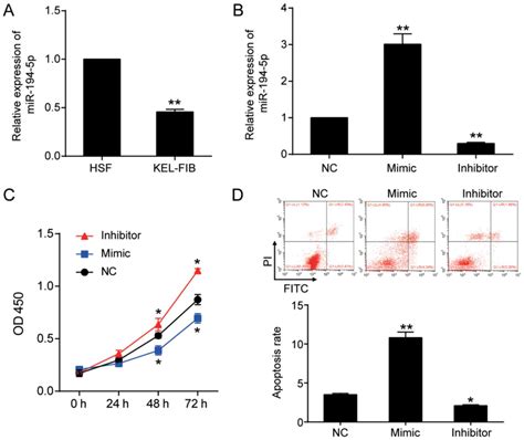 Mir 194 5p Serves A Suppressive Role In Human Keloid Fibroblasts Via