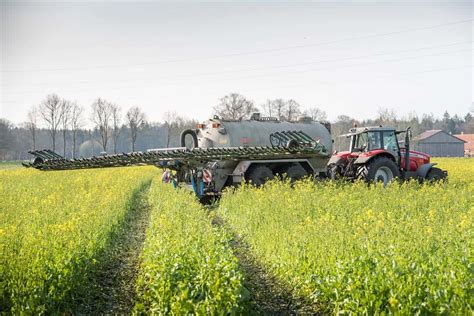 Mixed Cropping Vs Intercropping Difference And Comparison