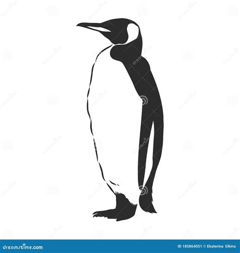 Pinguins De Desenho Manual Ilustra O Vetorial Do Desenho Vetor Do