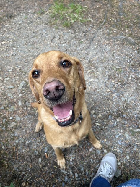 Riverside Vets | Gallery