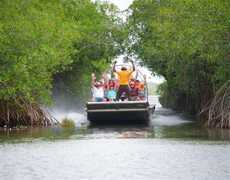 Airboat Adventure Wetland And Mangrove Tour Bze Shore Excursions