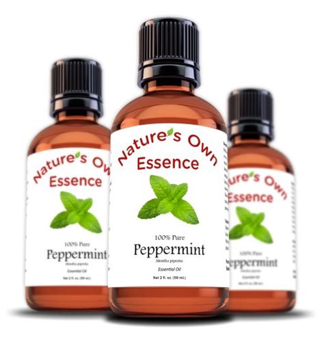 How to Use Peppermint Oil as a Natural Mouse Repellent