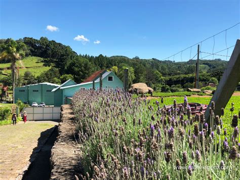 O Que Visitar No Caminhos De Pedra Rota Da Serra Ga Cha