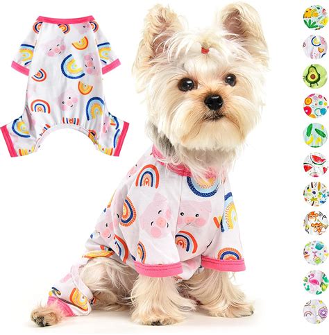 Amazon.com : Dog Pajamas for Small Dogs Girl Boy Summer Dog Clothes ...