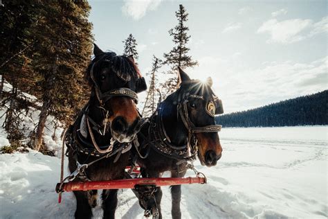 Winter in Alberta 🇨🇦 | Entrée Destinations