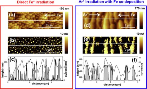 Afm Images Of Samples Irradiated With A C Fe And D F Ar Beams