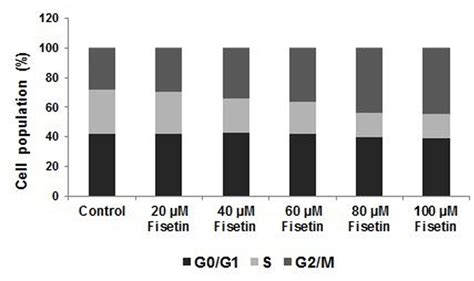 Effect of fisetin on cell cycle in KLE cells Fisetin at 20 100 µM