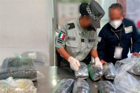 Decomisan 21 paquetes de hoja y harina de coca procedente de Perú en