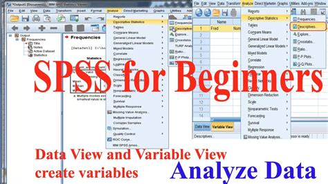 Spss For Beginners Youtube