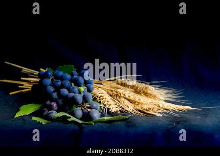 Uvas De Trigo Pan Y Corona De Espinas Sobre Fondo Negro Como S Mbolo