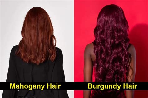 Mahogany Vs Burgundy Hair Color What Are The Differences HairstyleCamp