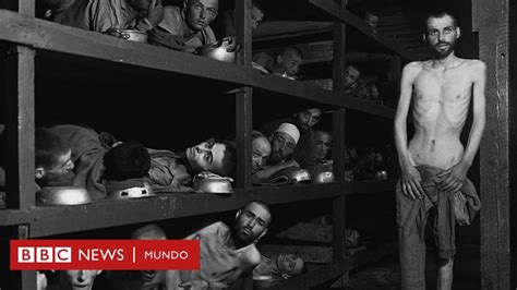 Qué defienden los negacionistas del Holocausto y por qué Mark