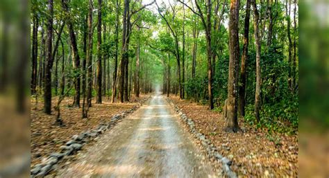 Secret Ventures Haryanas Kalesar Forest Reserve And National Park