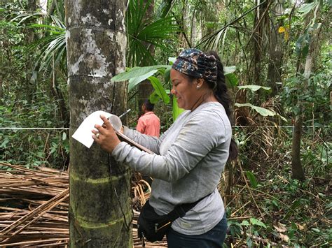 Boundary spanning for Peru’s peatlands – Research Impact