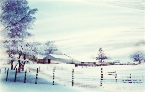 Wallpaper Trees Sky Snow Winter Morning Frost Farm Barn Fence