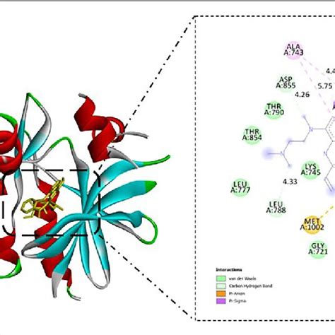 Interaction Between Osimertinib And Epidermal Growth Factor Receptor Download Scientific Diagram