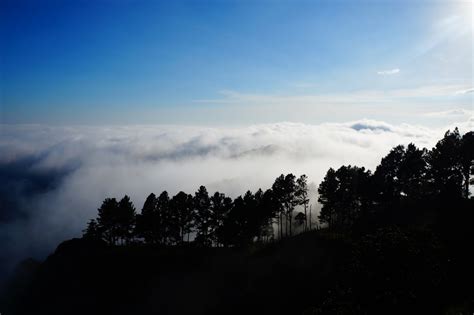 Images Gratuites paysage arbre la nature forêt horizon Montagne